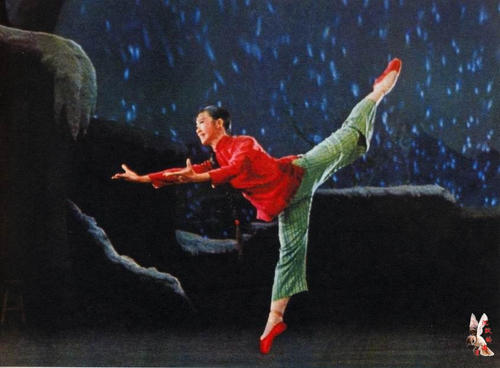 在留卡图片